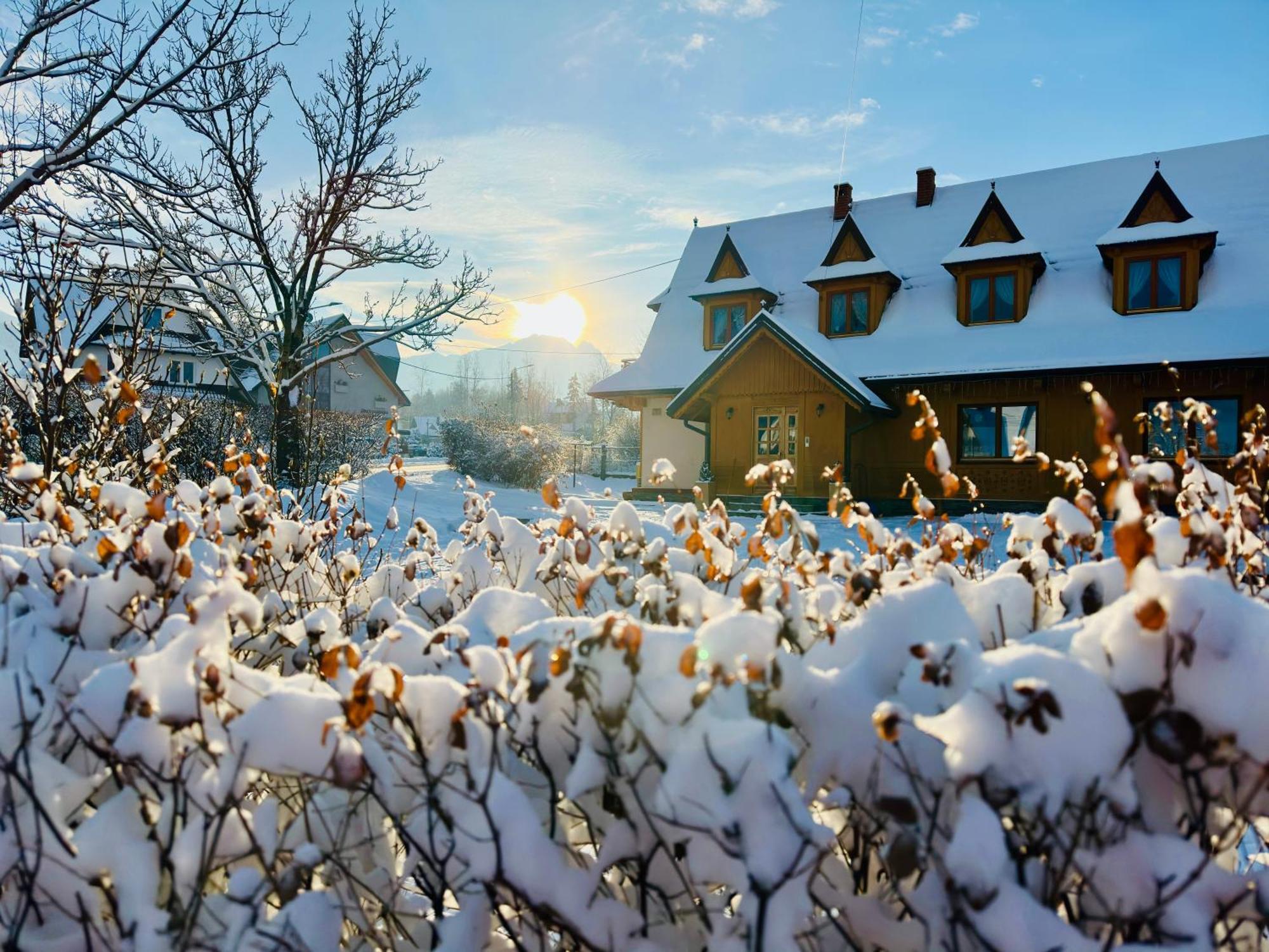 Pokoje Goscinne Siodemka Zakopane Exterior foto
